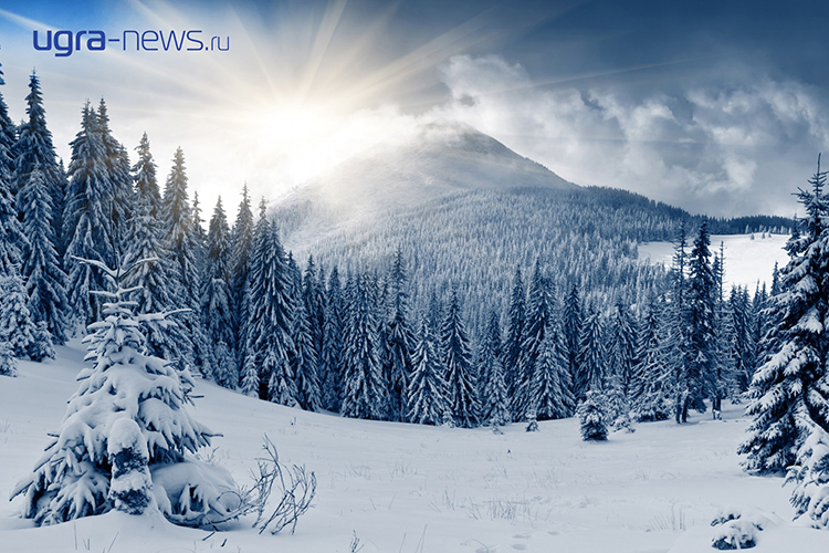 Ugra-news: Границы всех лесничеств Югры будут определены к 2023 году Ugra-news: Границы всех лесничеств Югры будут определены к 2023 году