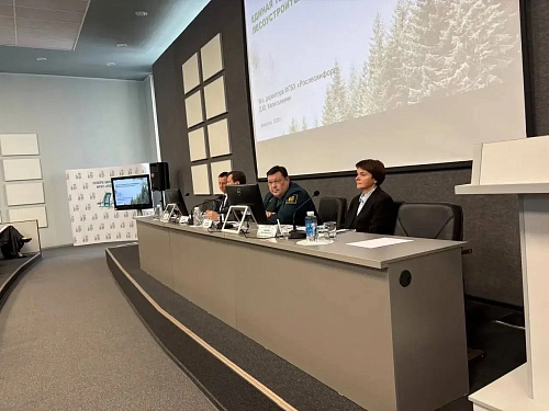 В Санкт-Петербурге проходит совещание с работниками филиалов Рослесинфорга