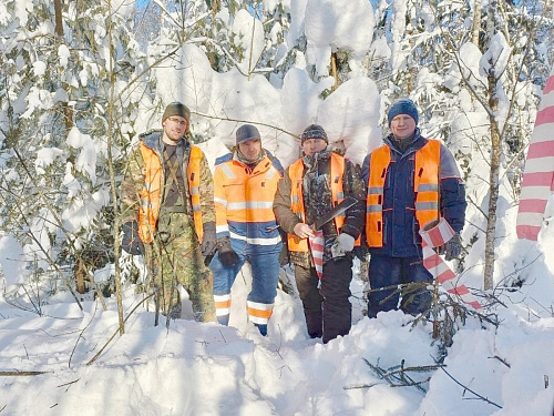 Рослесинфорг участвует в реализации федерального проекта по созданию высокоскоростной железнодорожной магистрали Санкт-Петербург – Москва