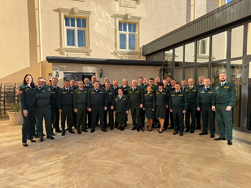 Рослесинфорг подвел итоги 2025 года и наметил перспективы на следующий год