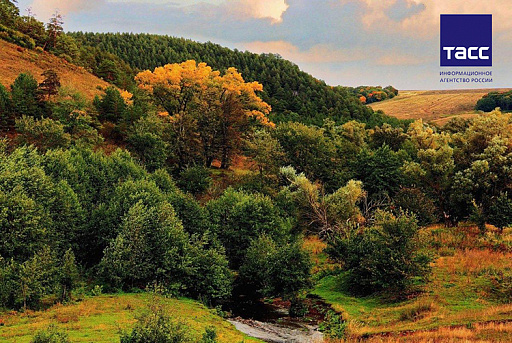 В Татарстане к 2023 году определят границы семи лесничеств