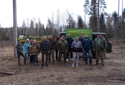 В Тумском лесничестве волонтеры и работники лесного хозяйства высадили почти 17 тысяч саженцев сосны