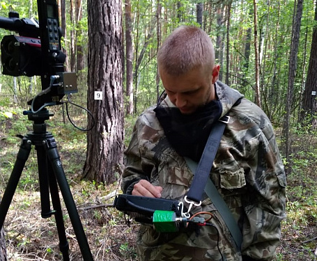 Уральские лесоустроители создали курс видеоуроков для школьных лесничеств