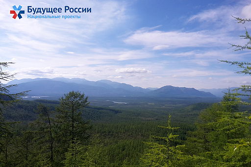 Границы всех лесничеств РФ будут определены к 2023 году для защиты лесов от застройки
