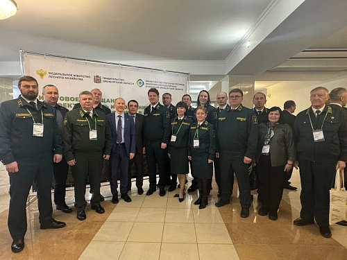 В Оренбурге подвели итоги работы лесоустроительных работ и дистанционного мониторинга в регионах ПФО и обсудили планы на 2026 год