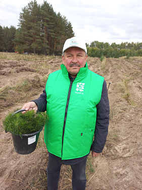 Рязанские лесоустроители подарили жизнь будущему лесу