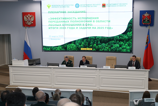 Подвели итоги работы и наметили перспективы развития лесного хозяйства Сибирского федерального округа Подвели итоги работы и наметили перспективы развития лесного хозяйства Сибирского федерального округа