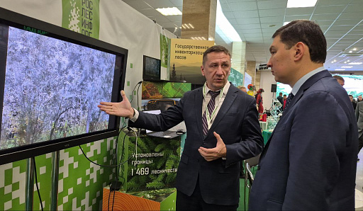 Рослесинфорг принял участие в юбилейном Международном лесном форуме и выставке «Российский лес»