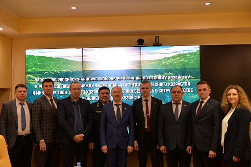 В Рослесинфорге состоялось заседание рабочей группы по лесному хозяйству в рамках соглашения между Рослесхозом и Минлесхозом Республики Беларусь