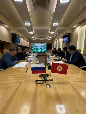 Россия и Кыргызстан продолжили обмен опытом в управлении лесными ресурсами