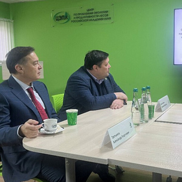 Рослесинфорг принял участие в совещании в ЦЭПЛ РАН по вопросу проведения научных и исследовательских работ в лесной сфере