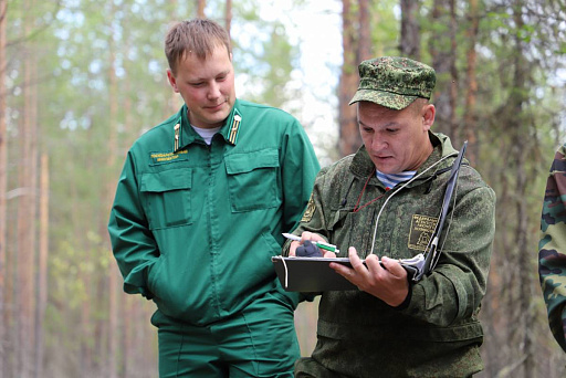 В Вологодской области лесоустройство проводится в рамках государственно-частного партнерства 